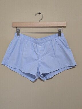 Brandy Melville Light Blue Pinstripe Lounge Shorts